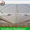 China factory direct sale multi-span uv poly greenhouse