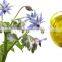 NSF essential Borage Oil