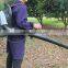 remove dust and particles backpack blower for sale