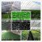 High Quality Roof Shade HDPE Plastic Mesh Agriculture Net