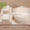 Biodegradable Electronic Products Packages From Bagasse