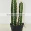 SJ3001105 artificial plant cactus home decoration