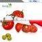 High quality cheap ceramic kitchen knife set