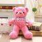 Wholesale Beautiful Stuffed Mini Colorful Custom Plush Teddy Bears