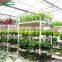 China Cheapest Garden Greenhouses/Hydroponics Systems/Grow Tent