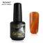 RONIKI Laser Magnet Cat Eye Gel Polish,Cat Eye Gel