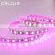 High brightness 5050 4 color in 1 led addressable rgbw and single color led strip
