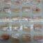 frozen Cod healthfood, seafood cod fillet