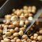 Premium Quality Organic Coriander Seeds Sale