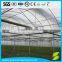 PE/PO/EVA greenhouse film,200mic greenhouse