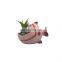 cute cartoon custom animal blue fish shaped ceramic planter succulents plant flower pot