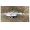 IQF WR Chinese frozen skipjack tuna fish price for export