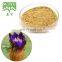 100% Natural Gordon Euryale Seed Extract Semen Euryales Extract