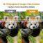 2022 Night Vision Infrared Digital Game Hunting Trail Camera 36MP 2.7K Video Wildlife Camera Photo Trap Camera HC-812A