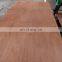 One time press pencil cedar plywood 4.5mm