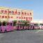 Amusement park adults electric tourist trackless train factory