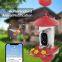 Ringsee Bird Feeder Camera COMS 2.4G WIFI 1080P Cloud Storage Night Vision Smart Bird Feeder Camera