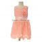 New products best-Selling ball gown ombre beading prom dresses,Pink flower dress kids sleeveless children frock chiffon