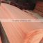 high quality 0.28mm bintangor wood face veneer for fancy plywood