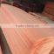 plywood face rotary cut 4*6 feet bintangor veneer