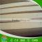 China produce poplar LVL for door core
