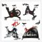 Body Fit Bike/Aerobic Exercise/Gym Master Spinning Bike/Tian Zhan Spinning Bike