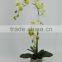 potted plant artificial white color orchid flowers