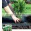 For protecting the plants China supplier Biodegradable Agriculture PP Protective Cover Film for protecting the plants