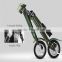 electric bicycle lici