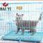 Colorful Folding Dog Cages With Good Quality