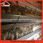 High quality poultry equipment used with low price