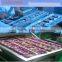 whole sales price semi auto packing machine