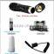 RECHARGEABLE LED FLASHLIGHT 3W Led Torch PT10