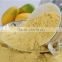 Good quality fresh fruit mango extract powder