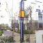 Energy saving 4M 12W LED solar gardern lamp