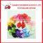 wholesale Grosgrain Ribbon Hair Bows Baby Girl Hairbow with clip for Hair Accessories