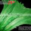 Top Supplier ZPDECOR Wholesale 35-40cm Length Good Decorative Gross Green Fully Dyed Rooster Chicken Feathers
