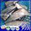 Sardines Hgt, superb quality