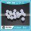 Plastic Hollow Ball