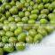 Green Mung Beans(New Crop High Quality )