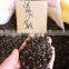 High Quality Judas Redbud Bauhinia Flower Tree Seeds For Growing