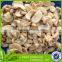fresh champion mushrooms in can