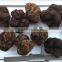 Fresh truffles prices