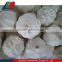 Wholesale High Quality Chinese Garlic