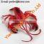 lobster toy,plastic lobster,color lobsters