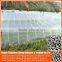 Chinese manufacture 20/30/40/50 mesh hdpe plastic agriculture greenhouse vegetable and fruit anti-insect net , nylon insect net