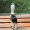 Realistic Taxidermy Replica decor plush alpacas