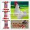 Broiler Breeders Poultry Chain Feeder | Direct Feeding Line