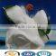 MAP feitilizer full water soluble fertilizer 98%