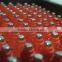 chicken drinker for poultry feeders and drinkers